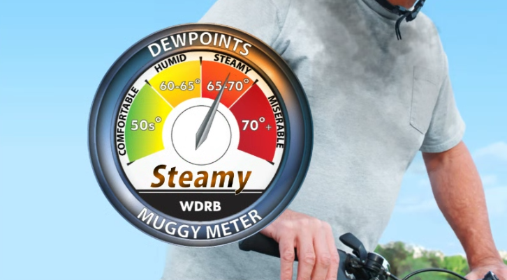 muggy meter.png